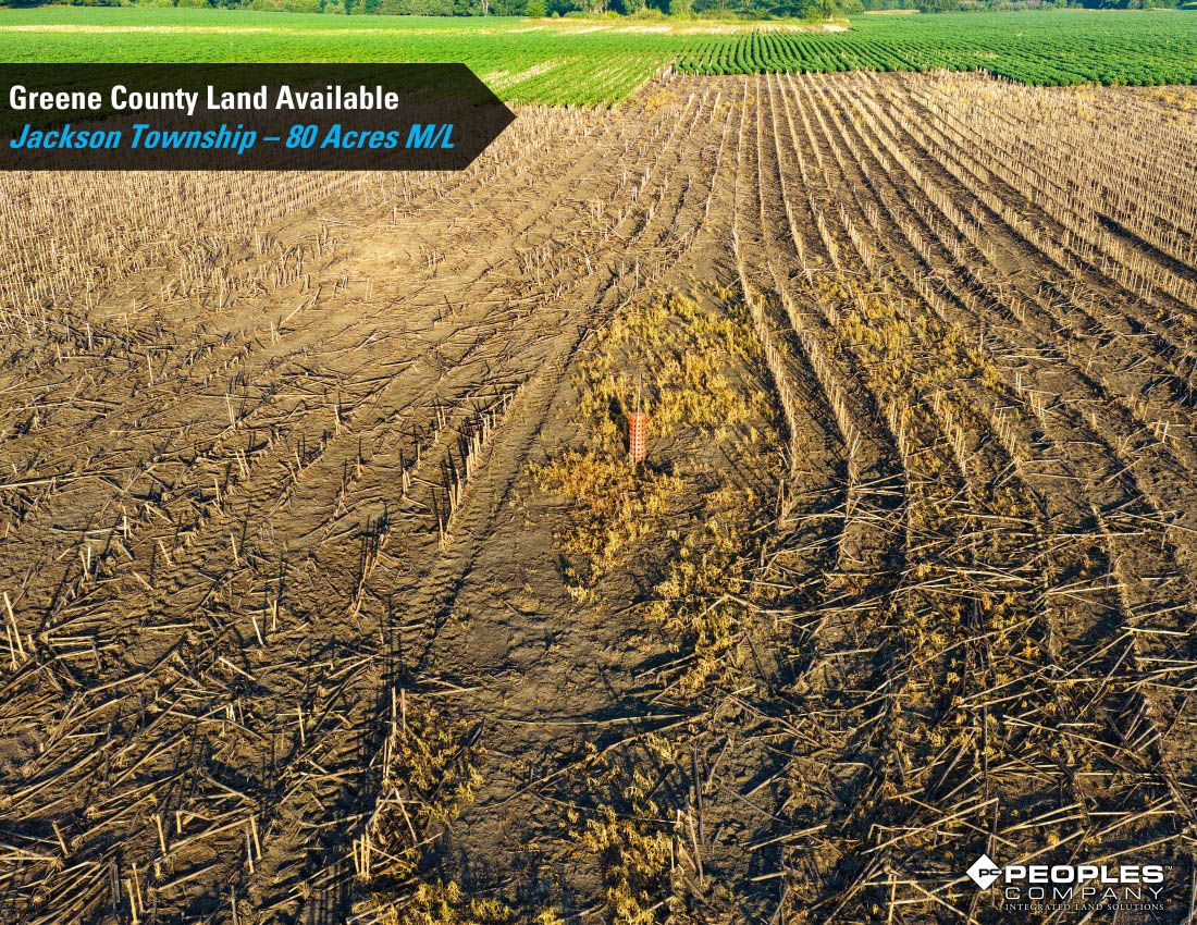 Listing Photo: Greene-County-Iowa-Farmland-Available-80-Acres-Scranton-Jefferson-19706 (6)
